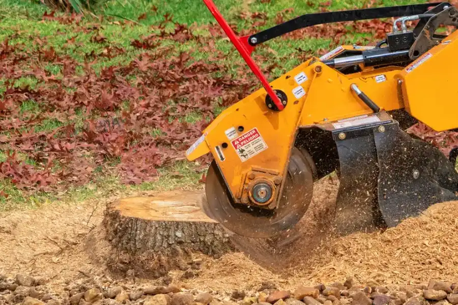 Quality Stump Grinding Byron, GA Quality Stump Grinding Byron, GA