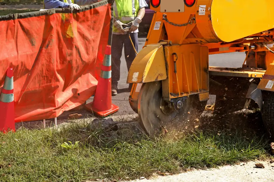 Reliable Stump Grinding Byron, GA Reliable Stump Grinding Byron, GA