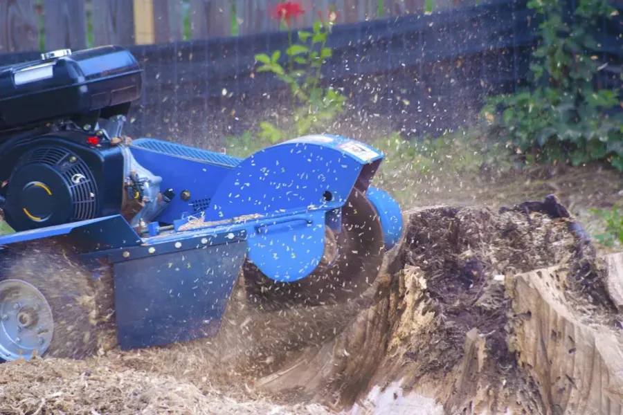 Superior Stump Grinding Byron, GA Superior Stump Grinding Byron, GA